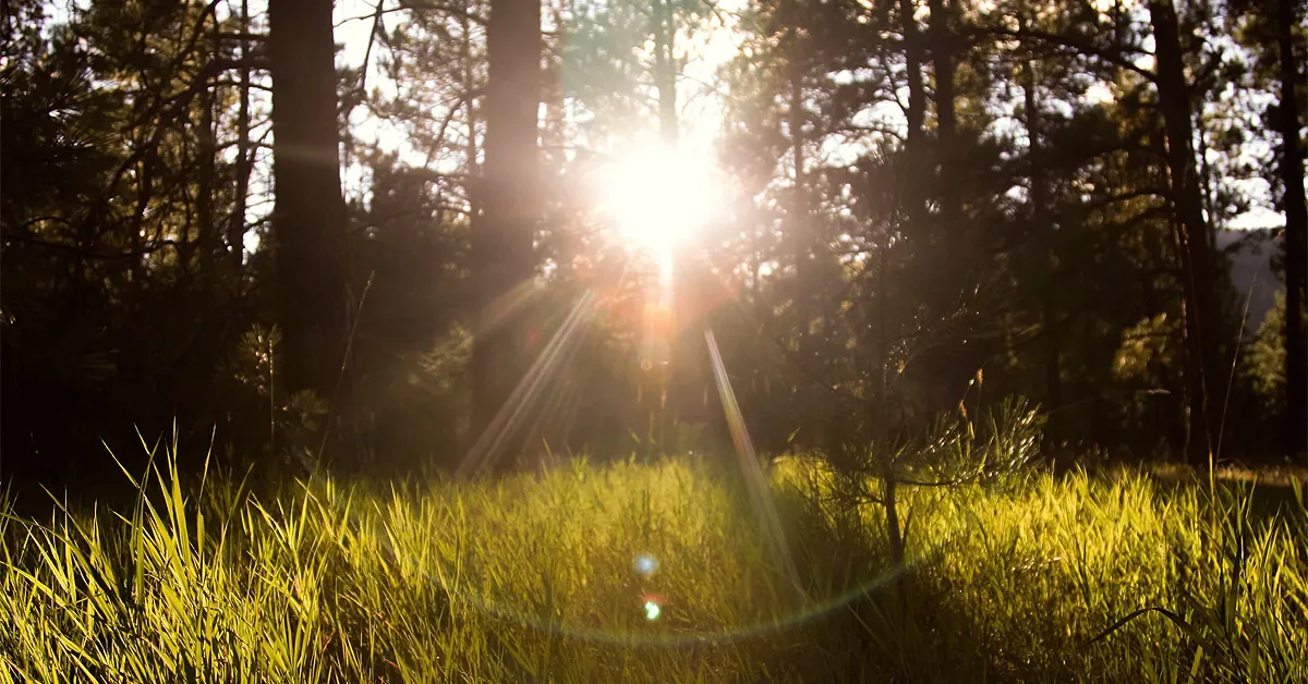 Üleilmne suitsuvaba päev: saa võitjaks suitsetamisest vabanedes