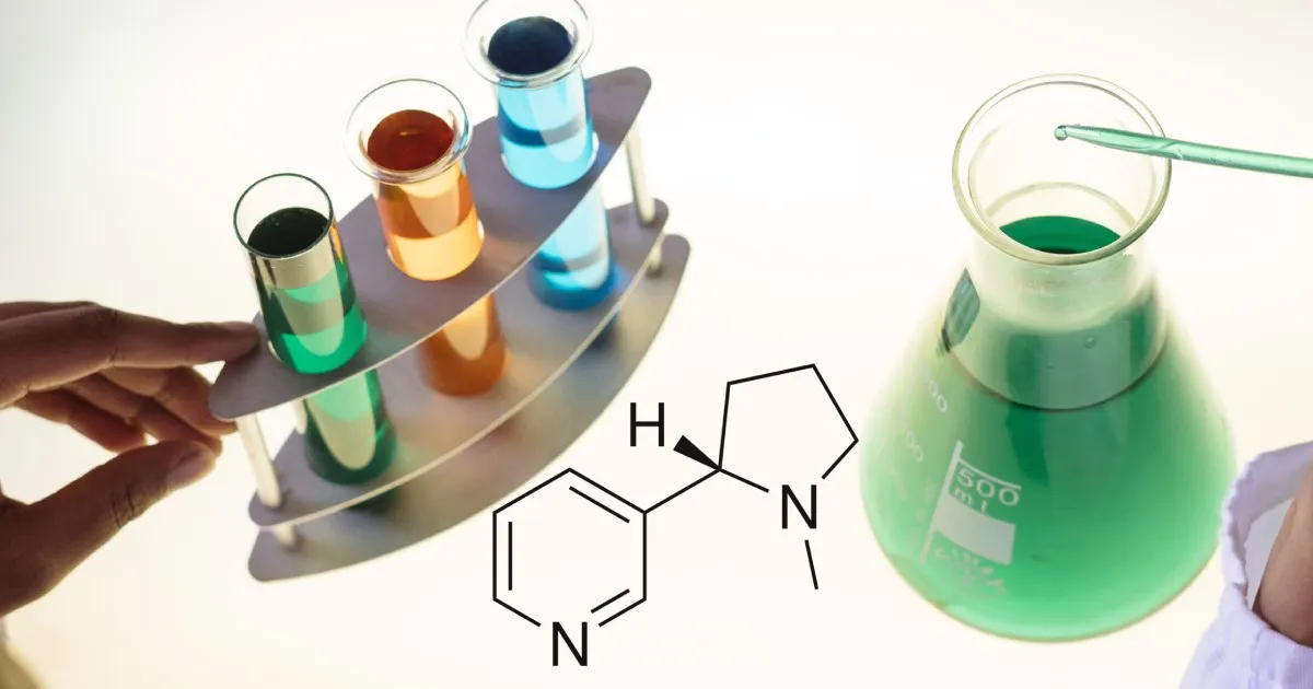 Nikotiin – sõber või vaenlane?
