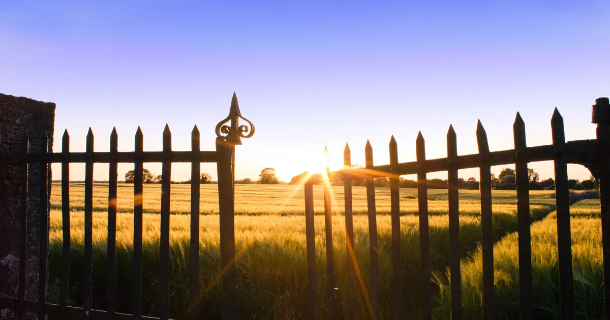 e-sigaret, värava efekt