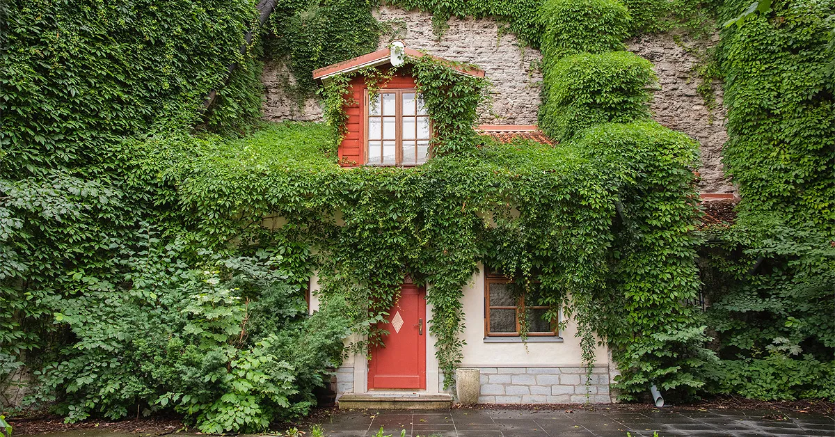 Uuring: roheline elukeskkond toetab suitsetamisest loobumist