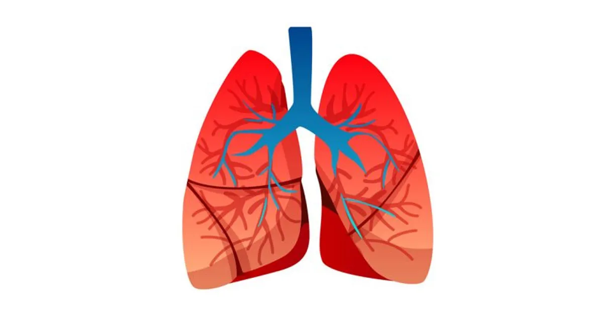 Kordusuuring kinnitab: e-sigareti auru mõju kopsule on palju väiksem kui suitsul