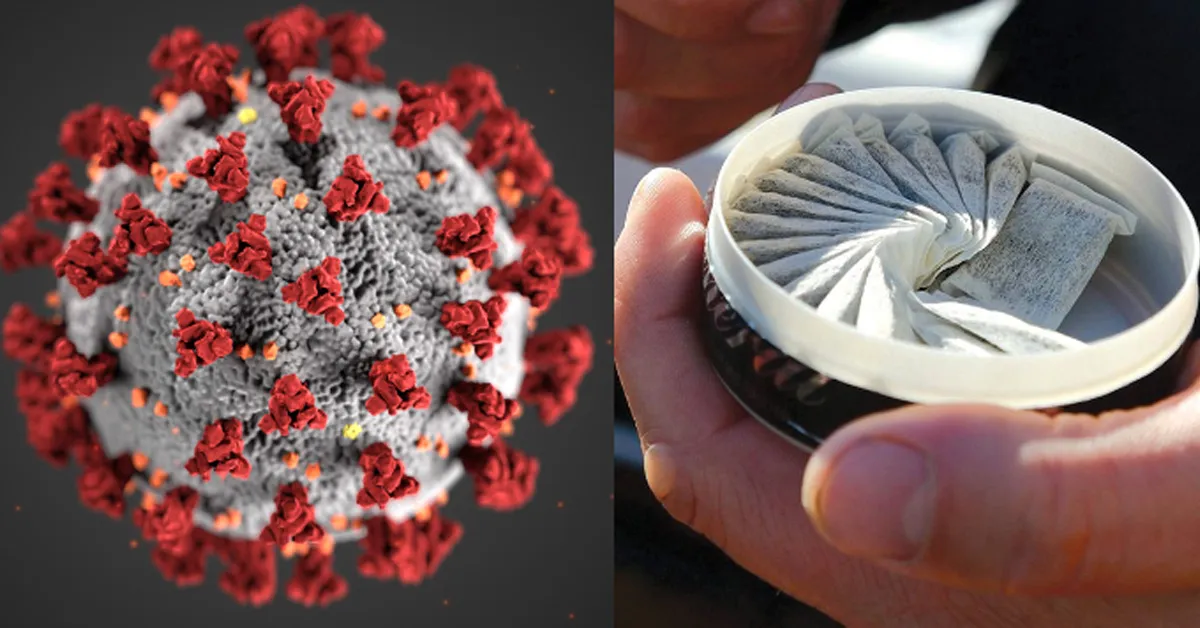 Rootsi teadlased uurivad, kas huuletubakas suudab kaitsta covid-19 vastu